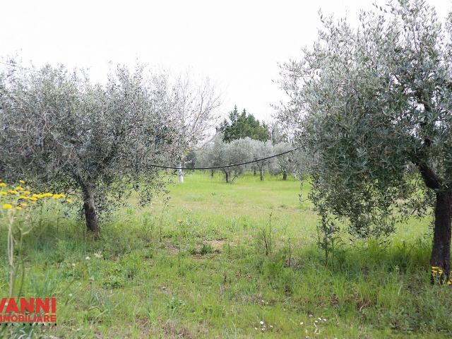 Agricultural land in {3}, Via del Forte - Photo 1