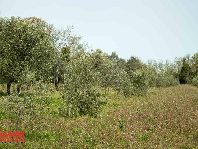 Terreno agricolo in {3}, Via Aurelia Nord - Foto 1