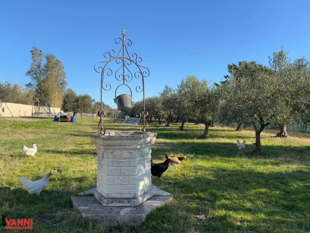immagine annuncio 1 di 3