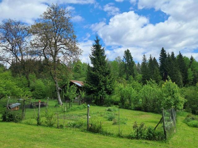 Casa indipendente, Pieve di Cadore - Foto 1