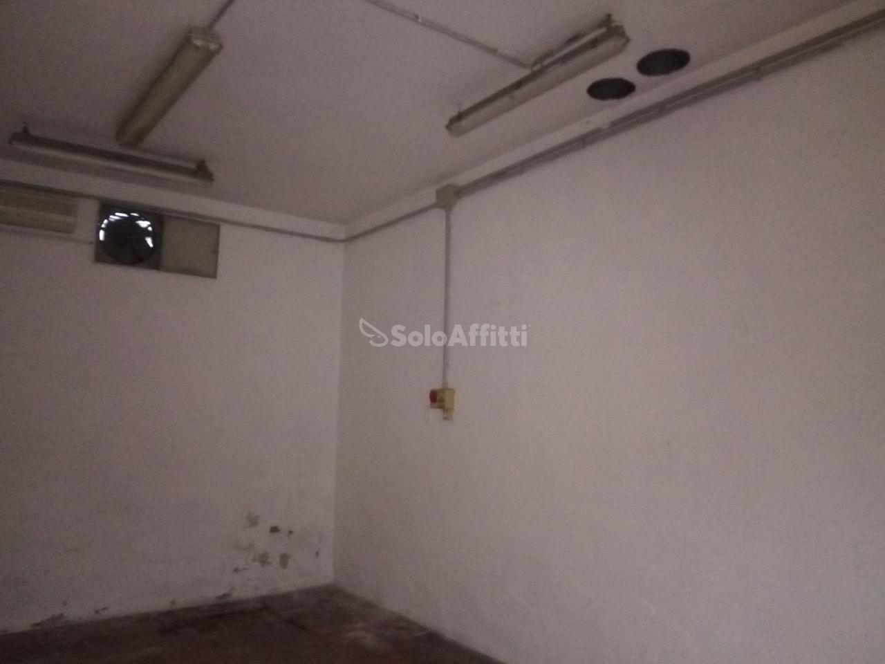 Magazzino in Via Dorando Pietri, Carpi, {3} - Foto 2