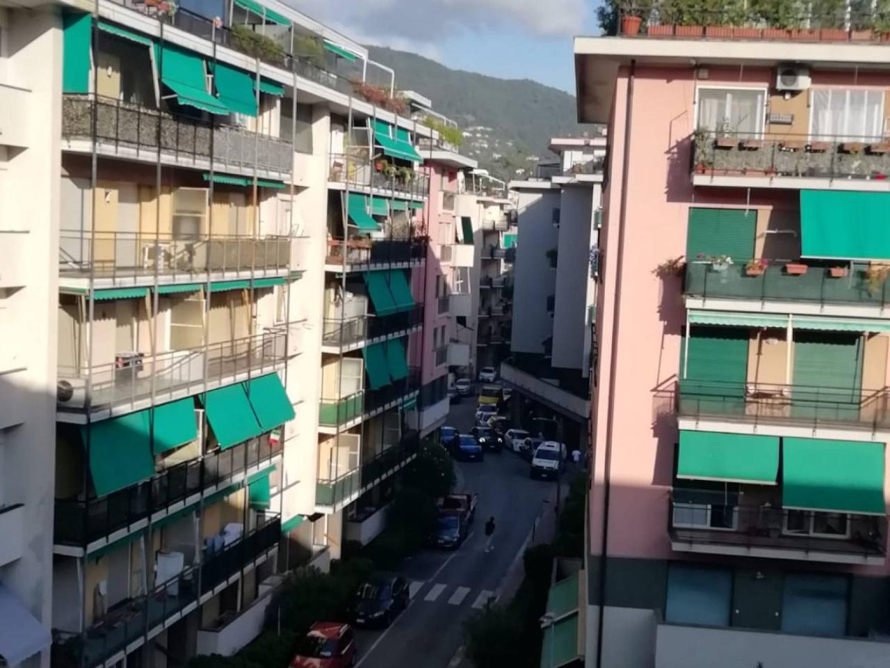 immagine annuncio 5 di 11