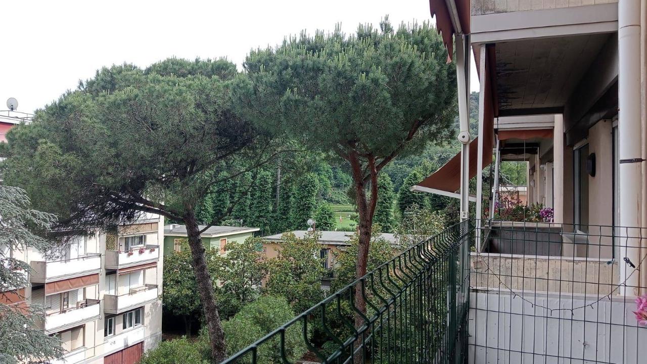 immagine annuncio 7 di 13