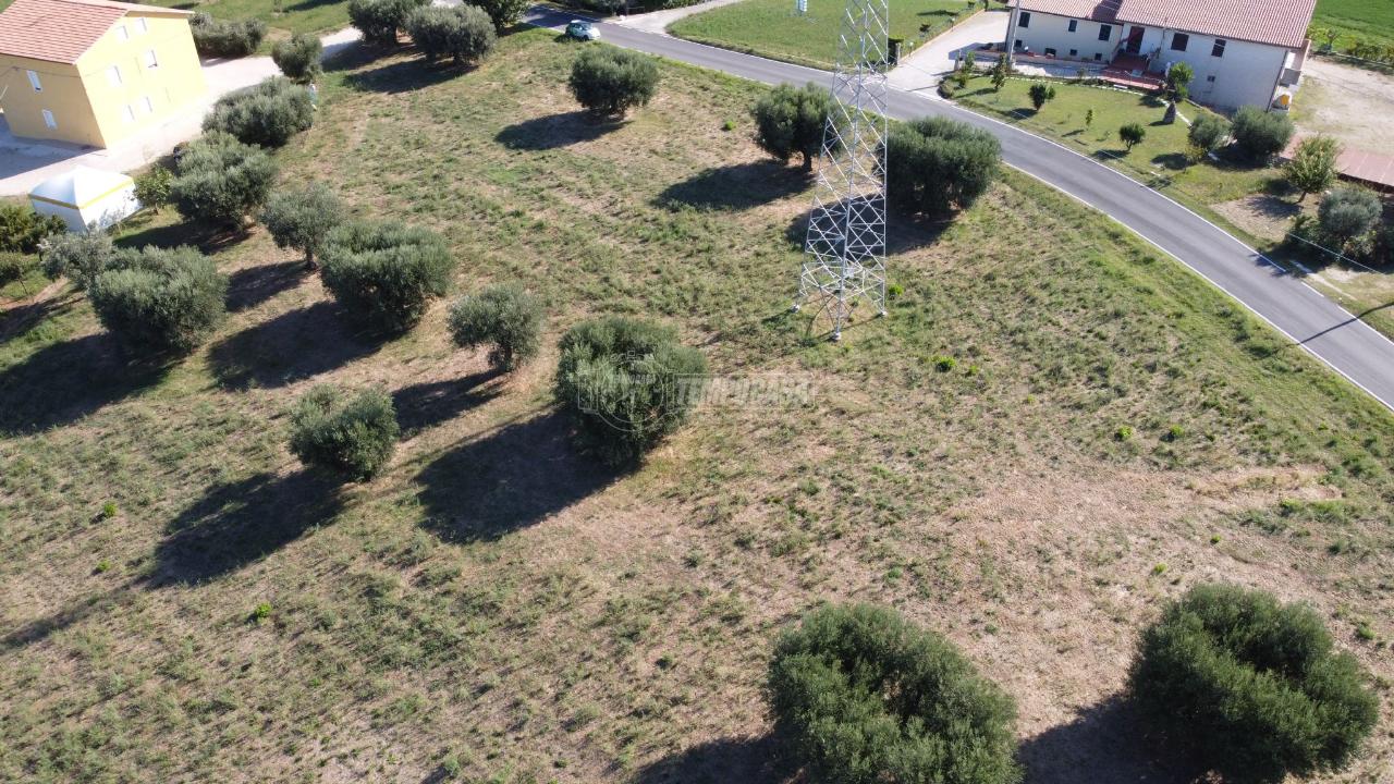 immagine annuncio 1 di 11