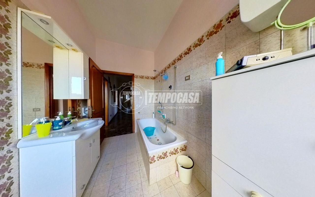 immagine annuncio 7 di 11