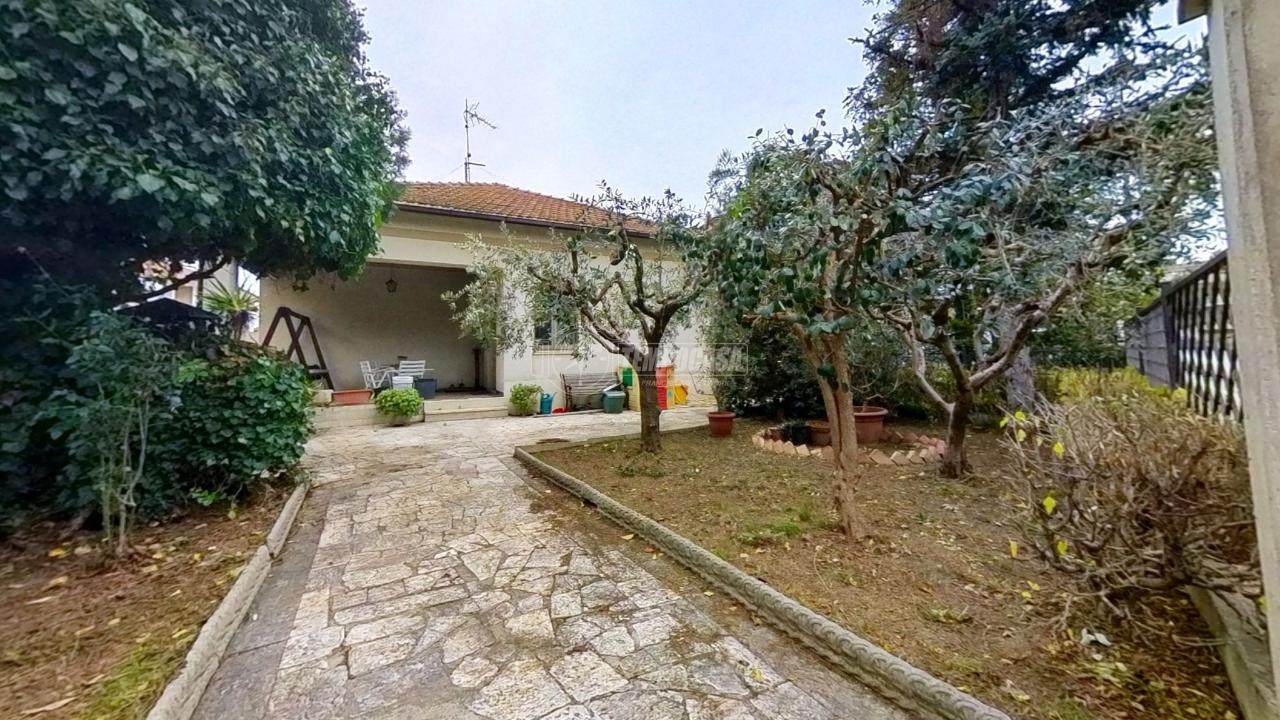 immagine annuncio 1 di 11