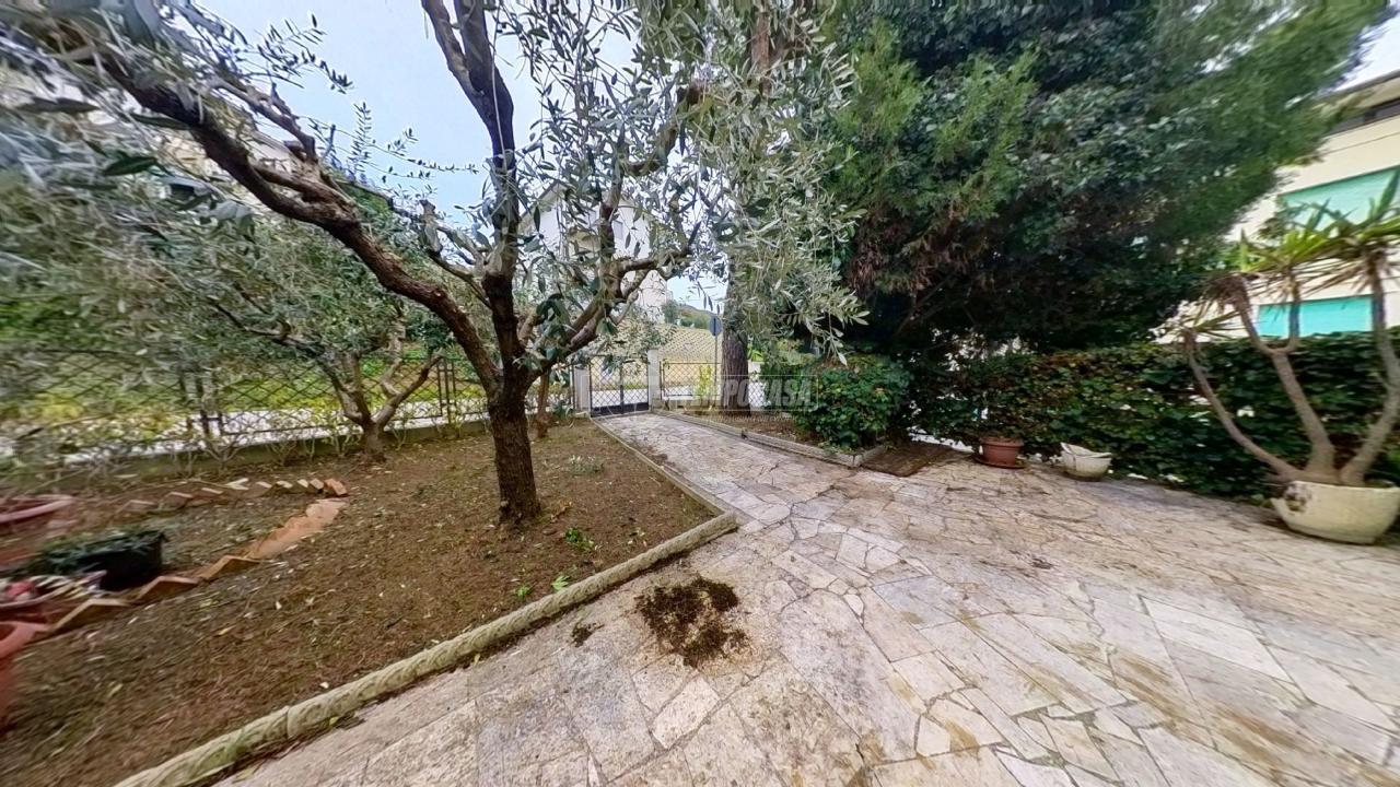 immagine annuncio 3 di 11