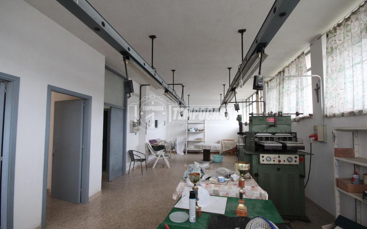 immagine annuncio 11 di 15