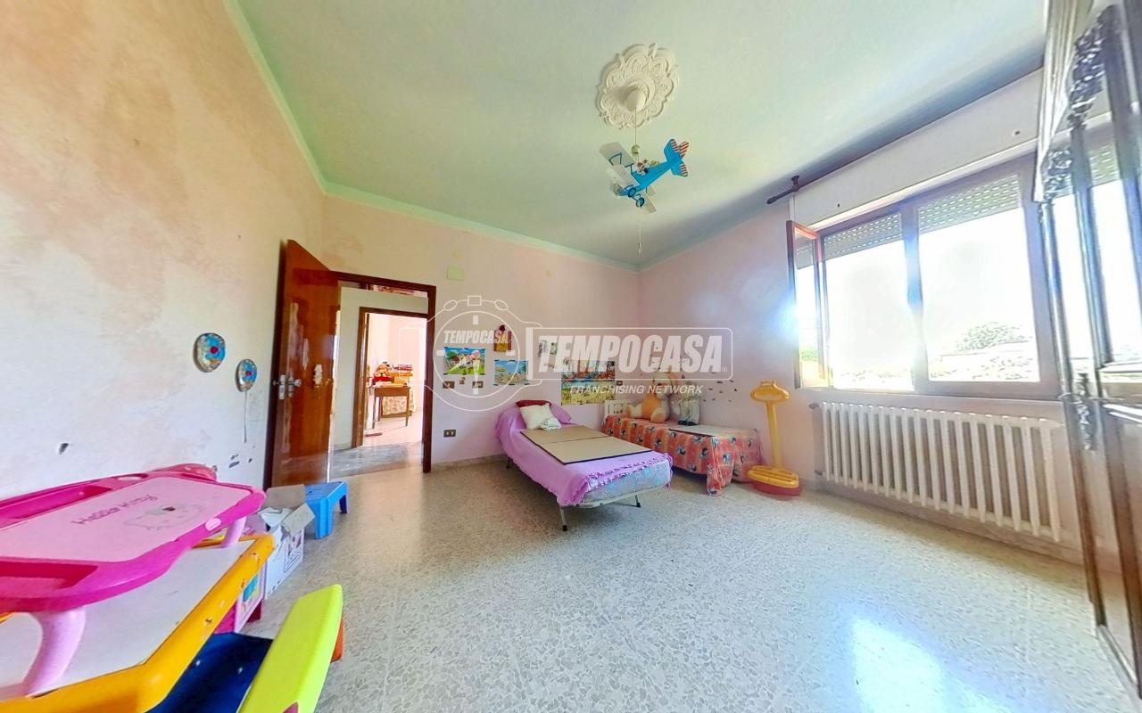 immagine annuncio 9 di 12