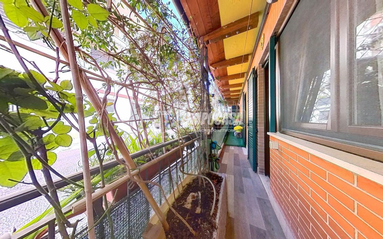 immagine annuncio 5 di 12