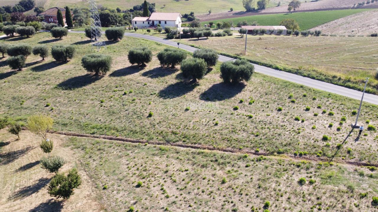 immagine annuncio 7 di 11