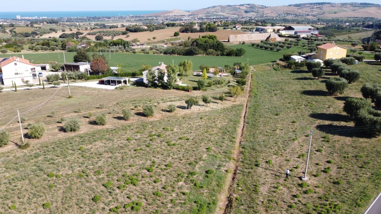 immagine annuncio 6 di 11