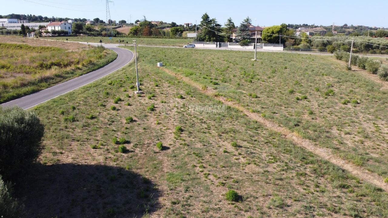 immagine annuncio 5 di 11