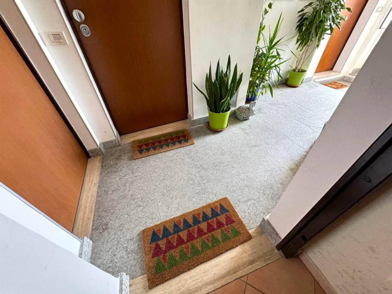 immagine annuncio 1 di 12