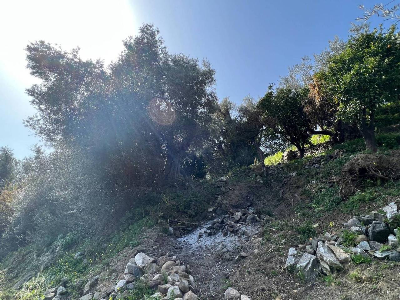 immagine annuncio 8 di 12