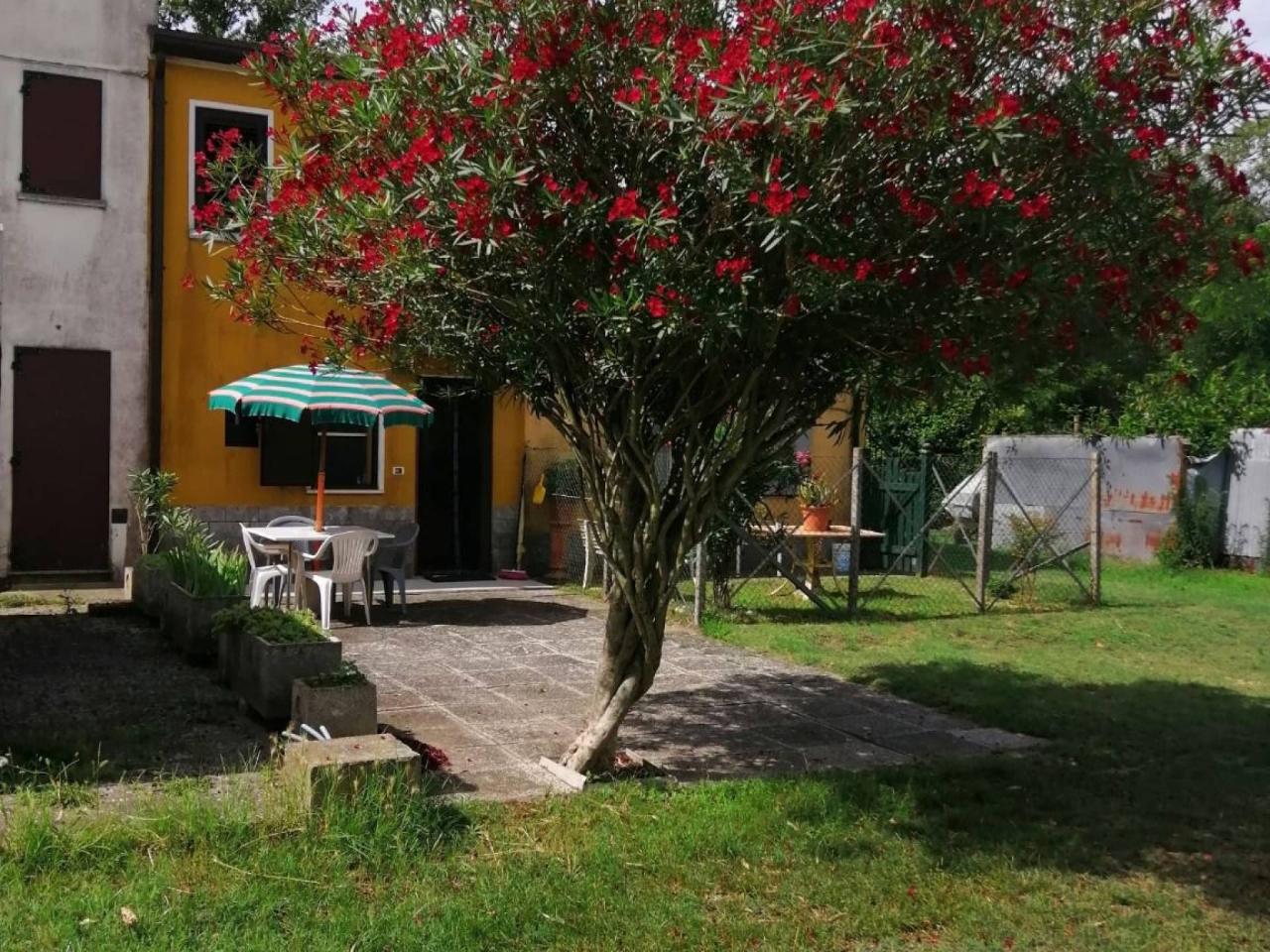 immagine annuncio 1 di 12