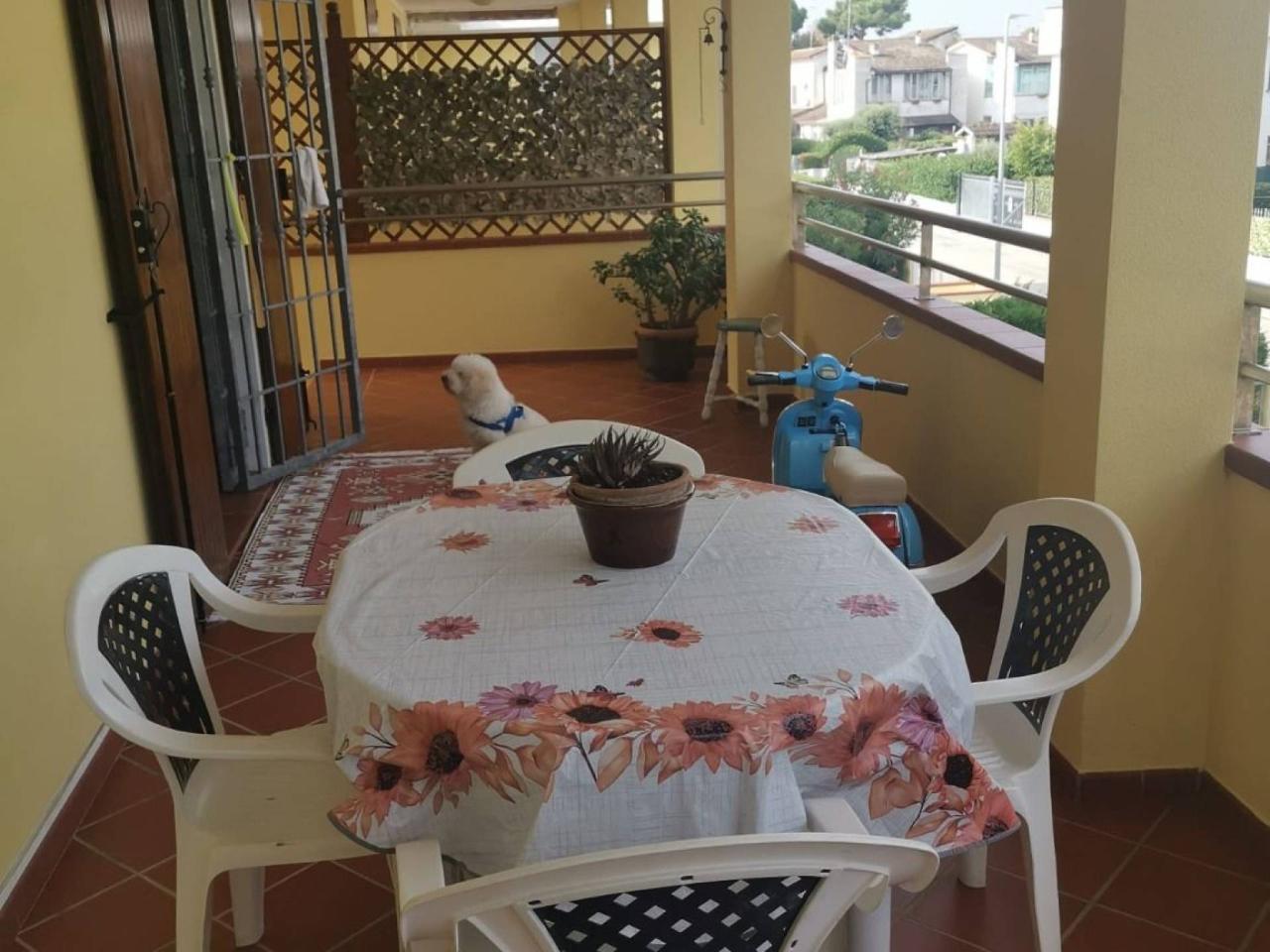 immagine annuncio 5 di 15