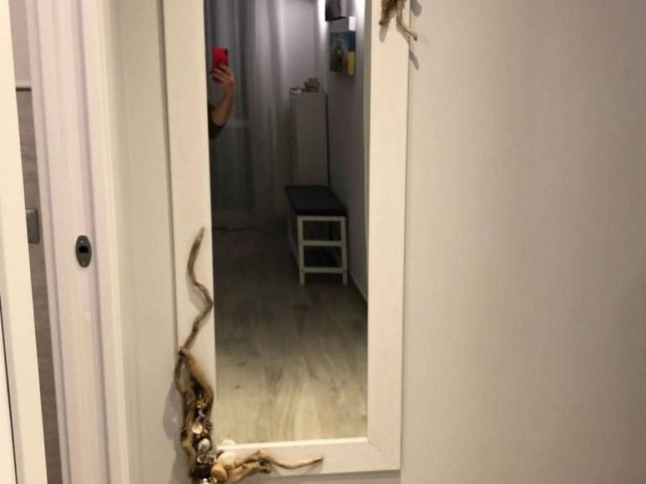 immagine annuncio 11 di 14