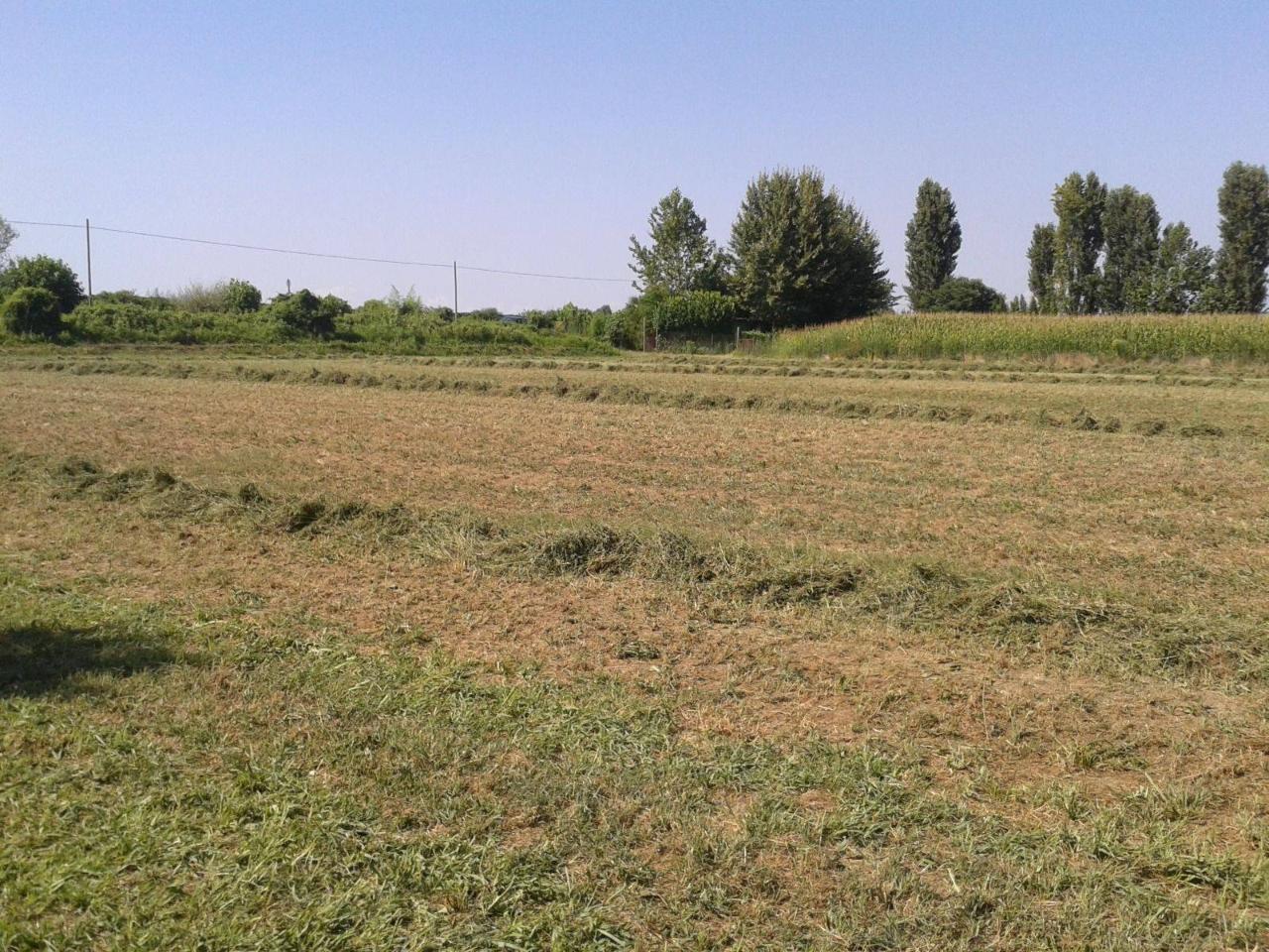 immagine annuncio 4 di 9