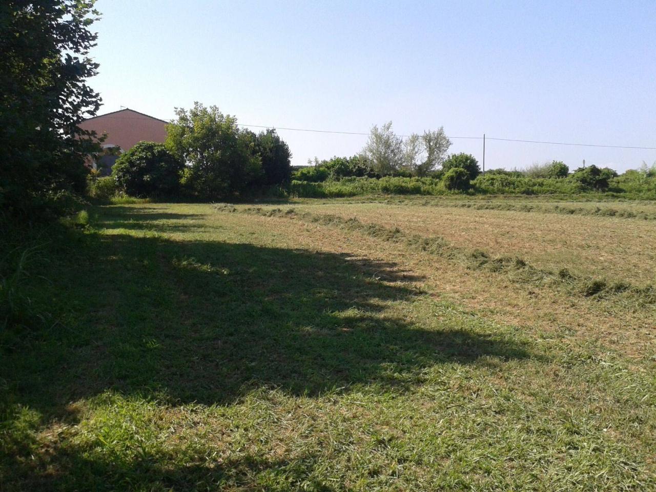 immagine annuncio 5 di 9
