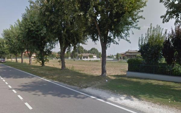 immagine annuncio 1 di 2