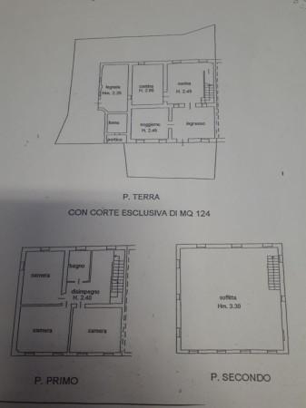 insertion image