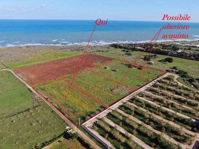 Agricultural land in Contrada Scianolecchia, Carovigno - Photo 1