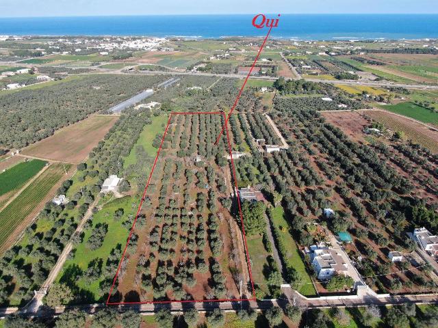 Terreno agricolo in Strada Statale di Egnazia, Carovigno - Foto 1