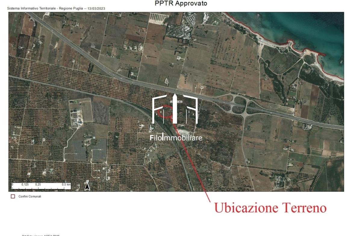 immagine annuncio 5 di 8