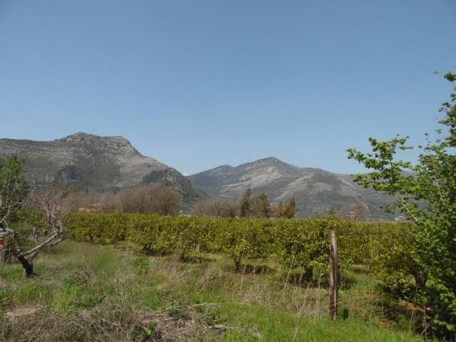 Agricultural land, Fondi - Photo 1