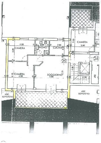 main planimetry real estate image