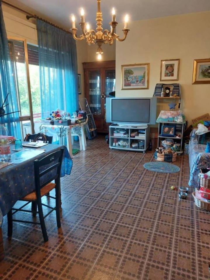immagine annuncio 1 di 7