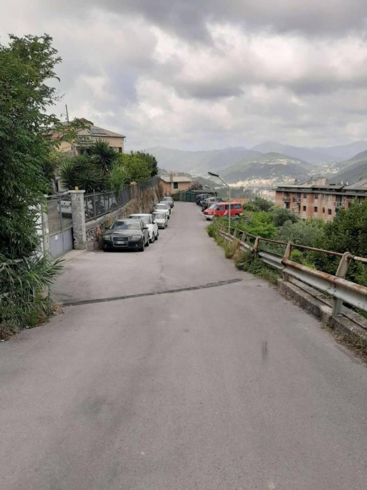immagine annuncio 4 di 12