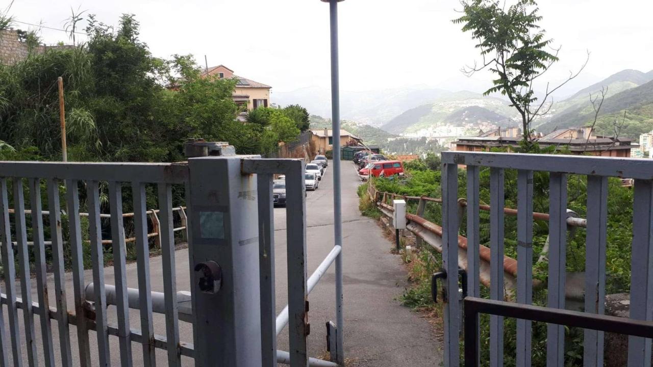 immagine annuncio 2 di 12