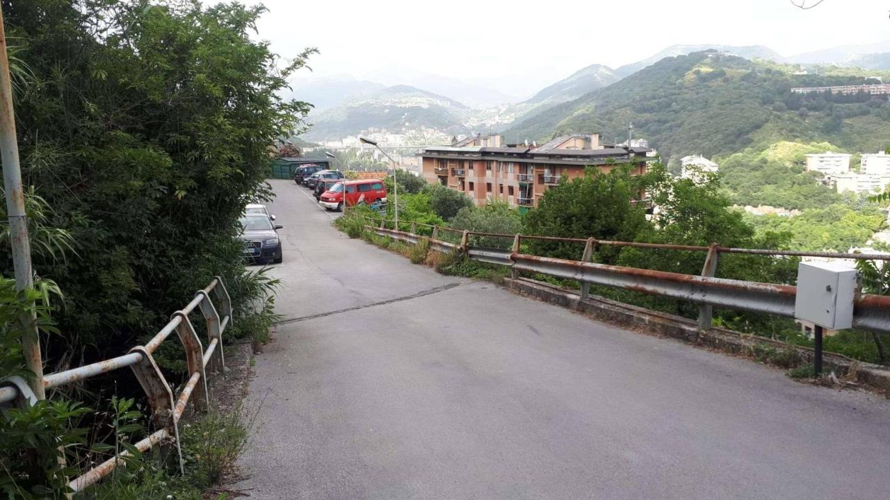 immagine annuncio 3 di 12