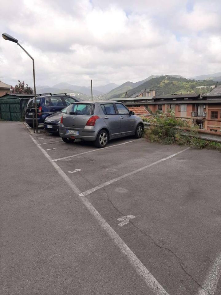 immagine annuncio 7 di 12