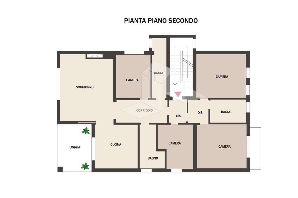 immagine annuncio 9 di 15