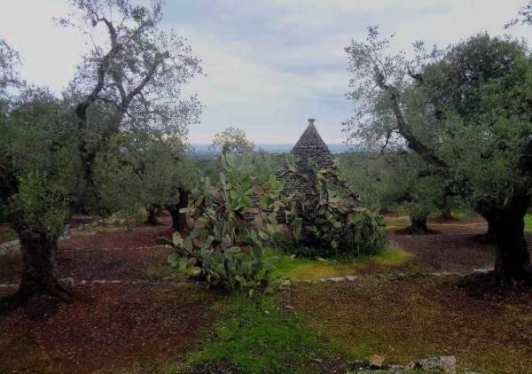 Country house or cottage in Fasano, Fasano - Photo 1