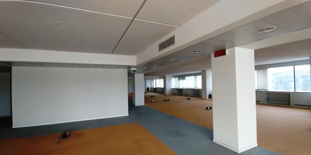 insertion image