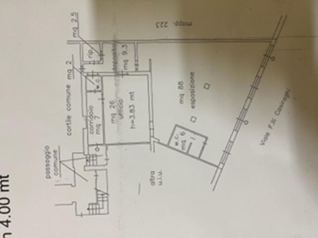 Negozio in Via Podgora, Sesto San Giovanni, {3} - Planimetria 1