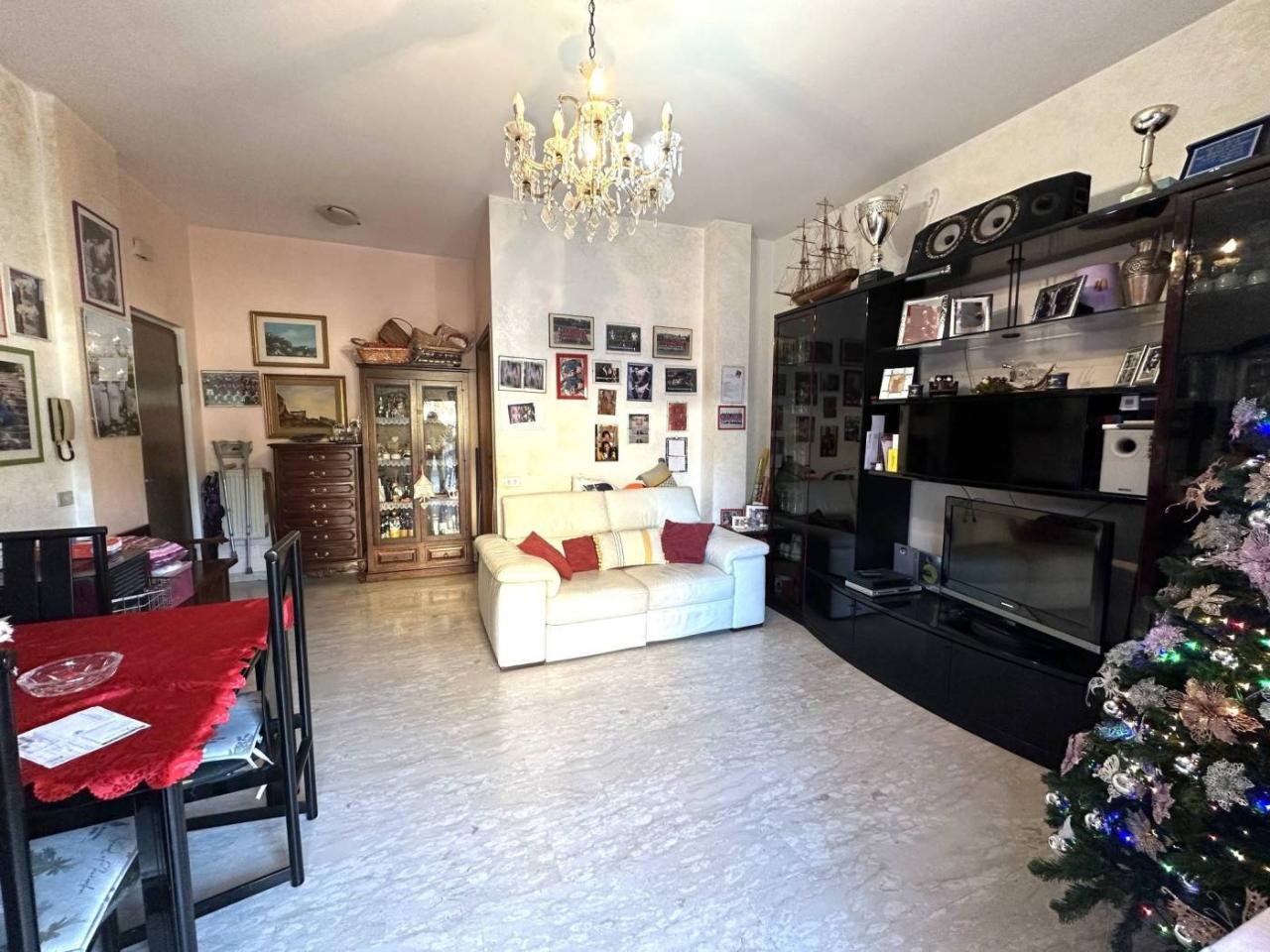 immagine annuncio 3 di 14