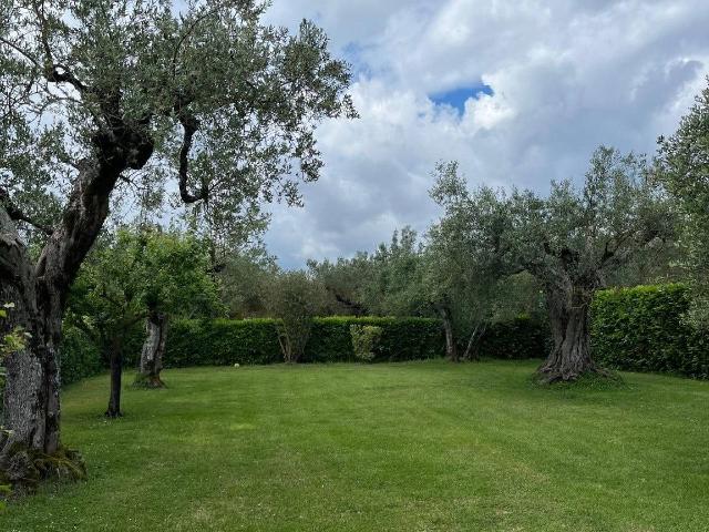 Terreno agricolo in Via del Lago, Montefiascone - Foto 1