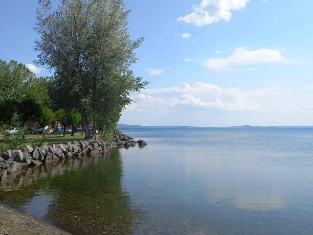 Agrargrundstück in Via Cassia, Bolsena - Foto 1