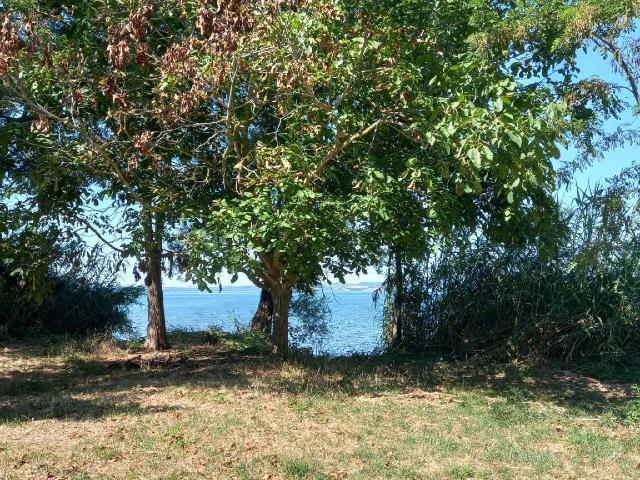 Agricultural land in Via Cassia, Bolsena - Photo 1