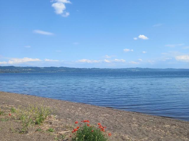 Agrargrundstück in Via Cassia, Bolsena - Foto 1