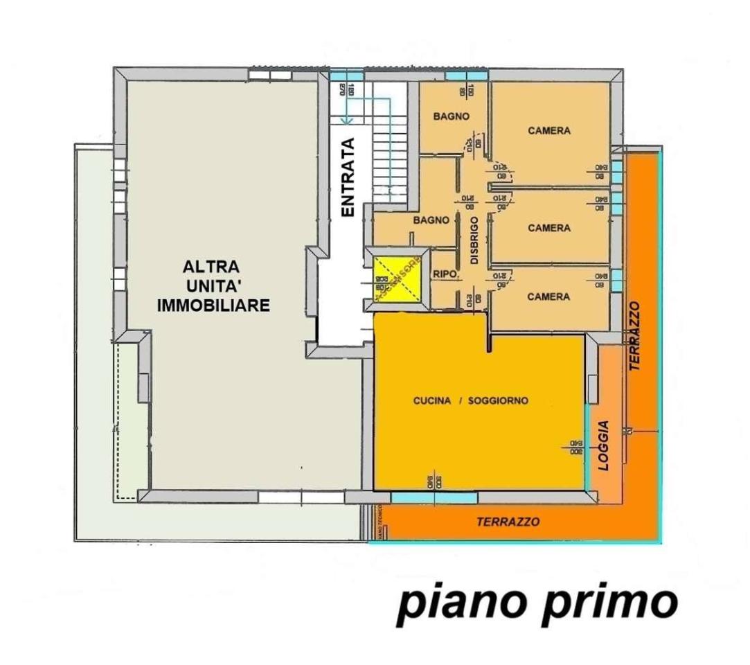 immagine annuncio 1 di 12