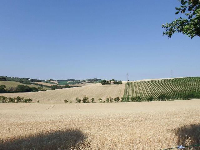 Rustico in Strada del Ferriero S.N.C, Senigallia - Foto 1