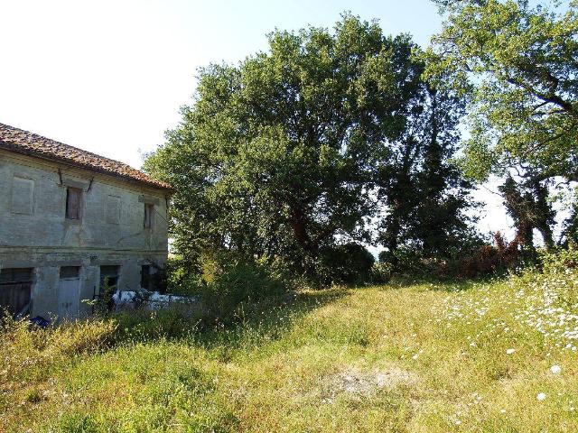 Landhaus in Via del Casale S.N.C, Senigallia - Foto 1