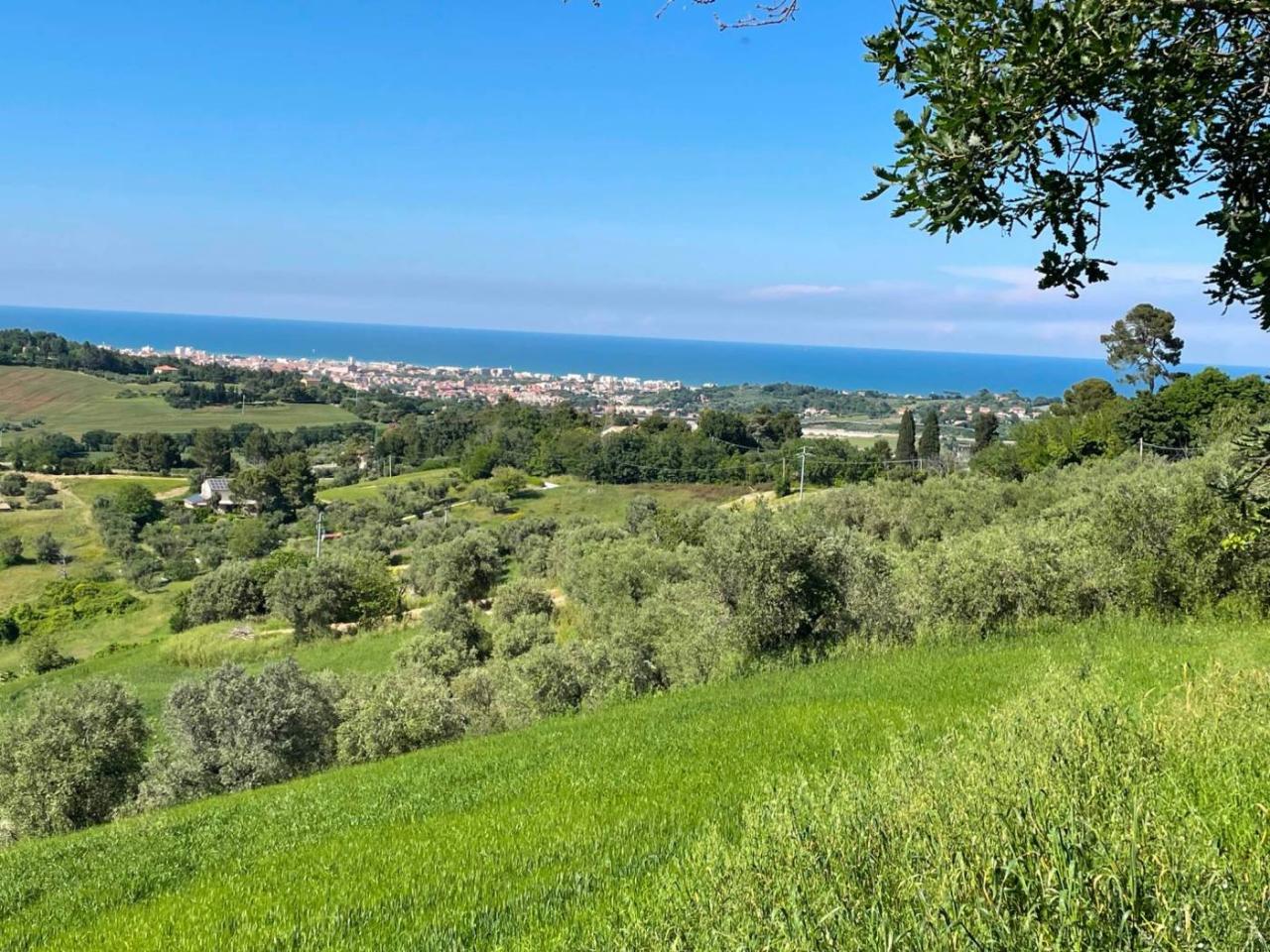 immagine annuncio 8 di 10