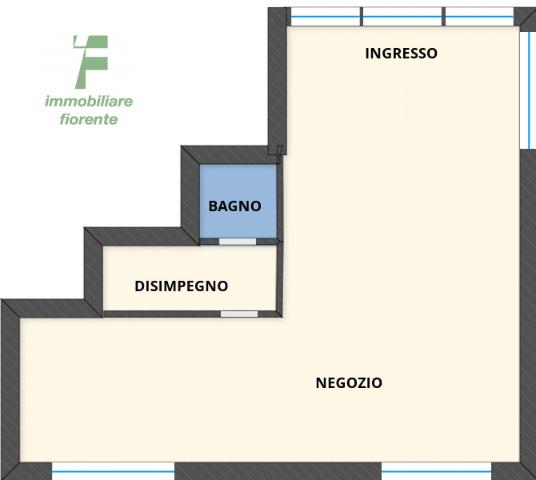 main planimetry real estate image